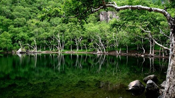 長(zhǎng)白山西坡、十五道溝-望天鵝風(fēng)景區(qū)雙飛4日