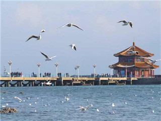 <strong><font color='#0000FF'>日照A線：青島、棧橋、日照、劉家灣趕海、竹洞</font></strong>