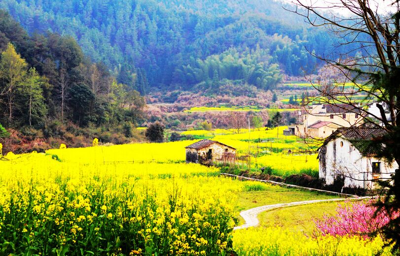 廬山主景區(qū)、婺源、江嶺梯田、三清山、景德鎮(zhèn)