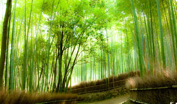 大阪一地6日**3天參團(tuán)の2天自由活動(dòng)**名進(jìn)阪出