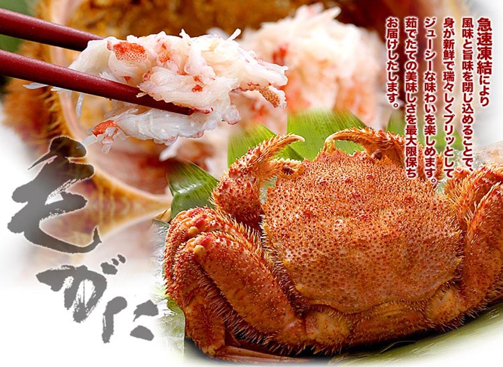 東京、箱根、大阪、京都、伊勢(shì)7日**4星美食純玩