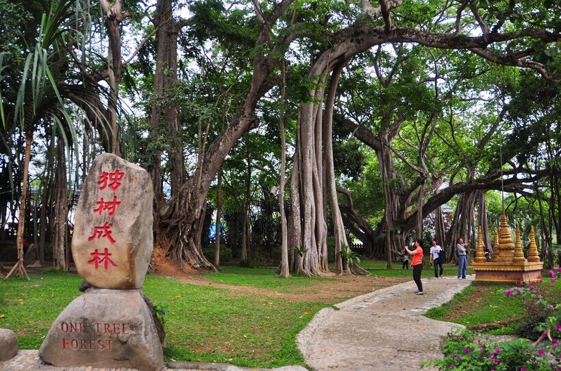 大理、騰沖、芒市雙飛6日